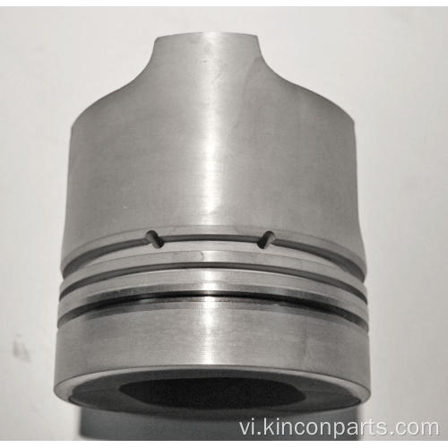 Động cơ Piston CY4102